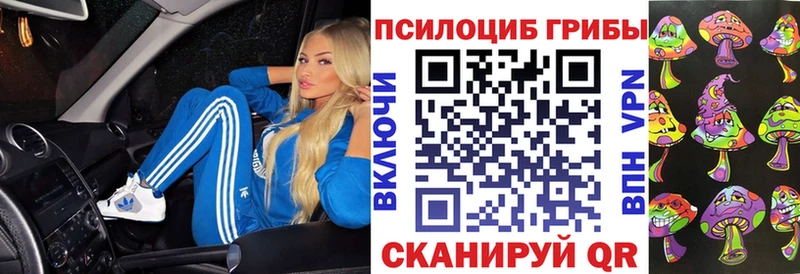 даркнет телеграм Заволжск Галлюциногенные грибы Psilocybe